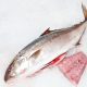 Amberjack - File